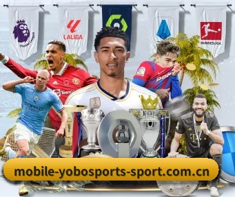 yobo体育官网 APP